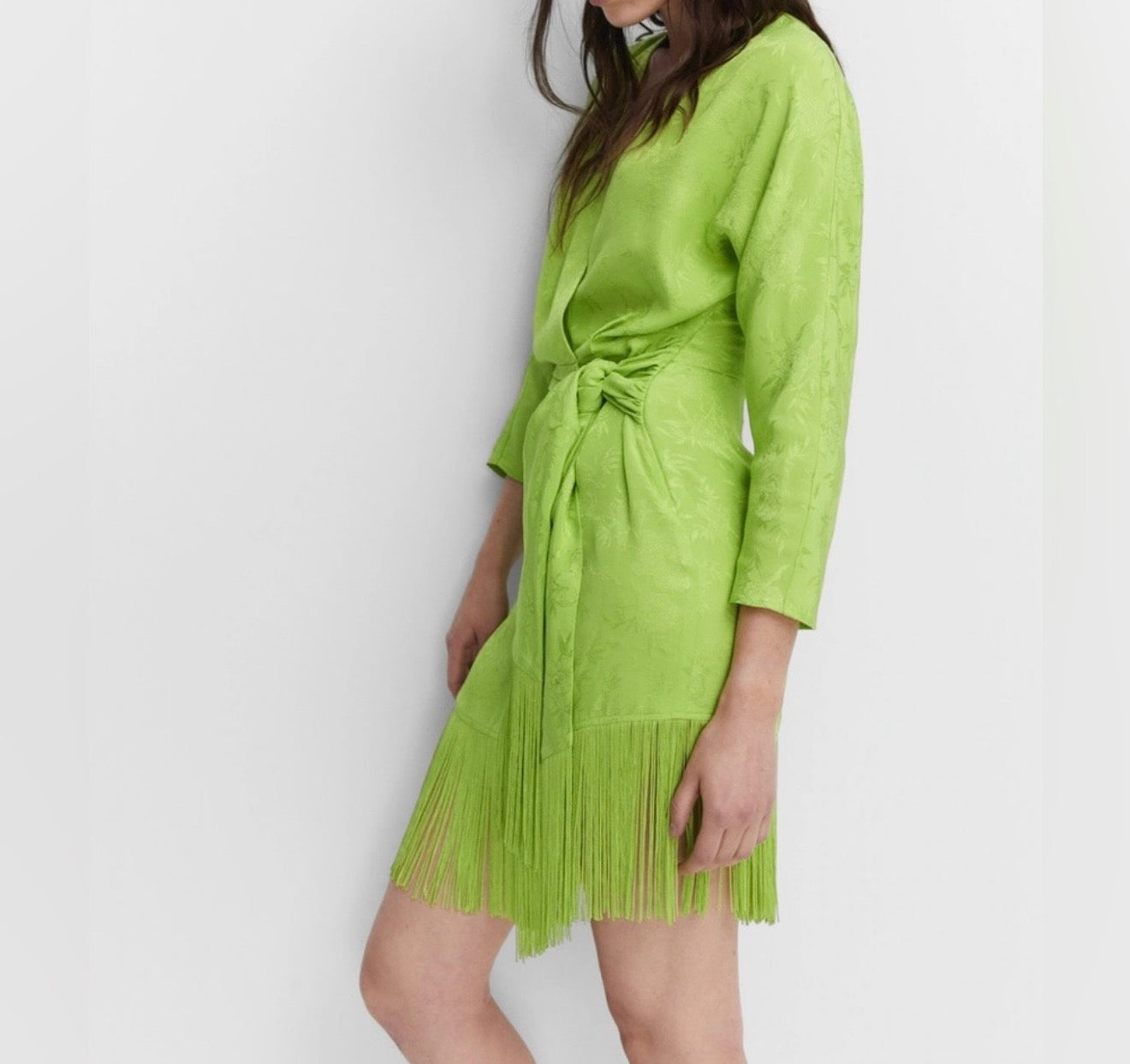 Mango Fringe Dress