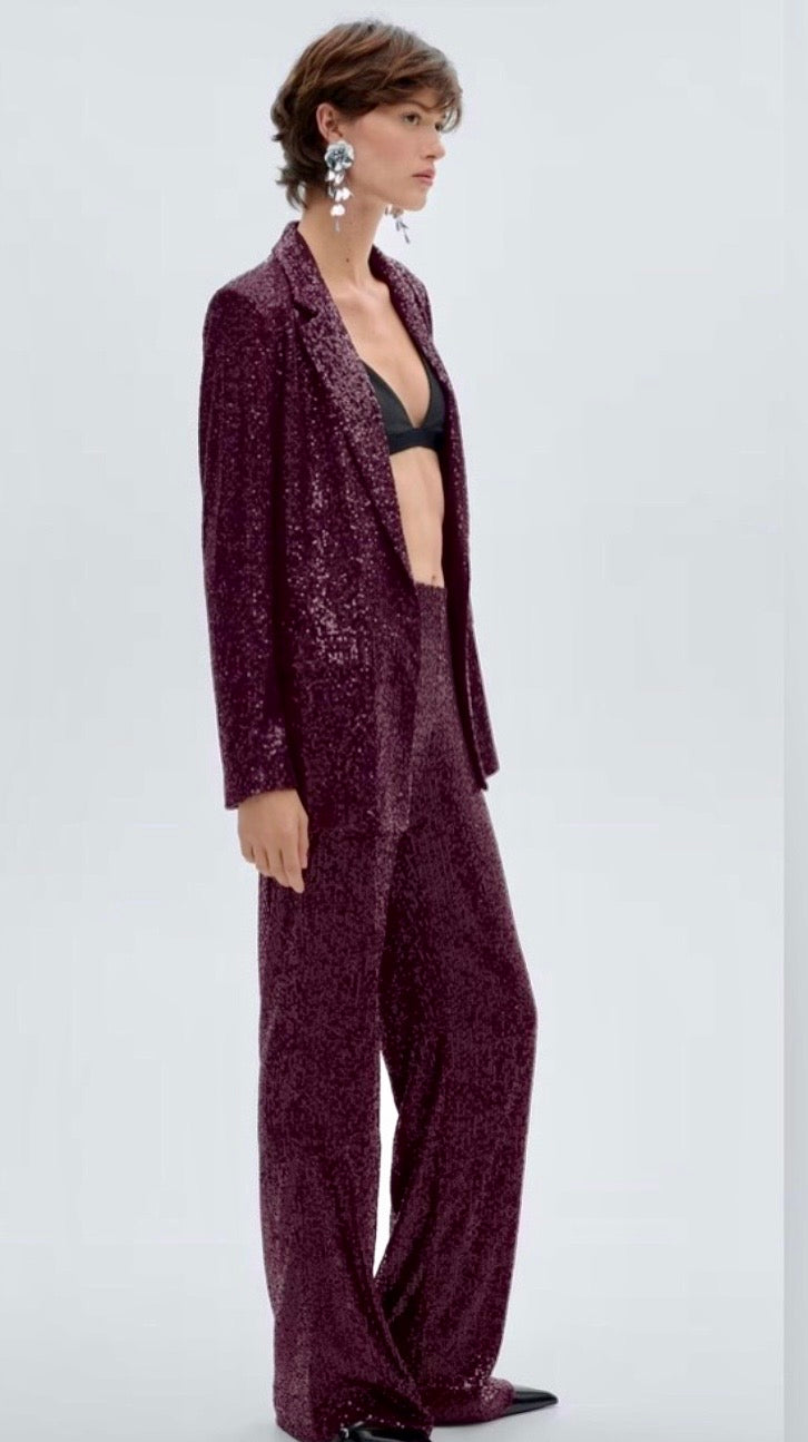 Mango sequin 2 Pcs Pantsuit