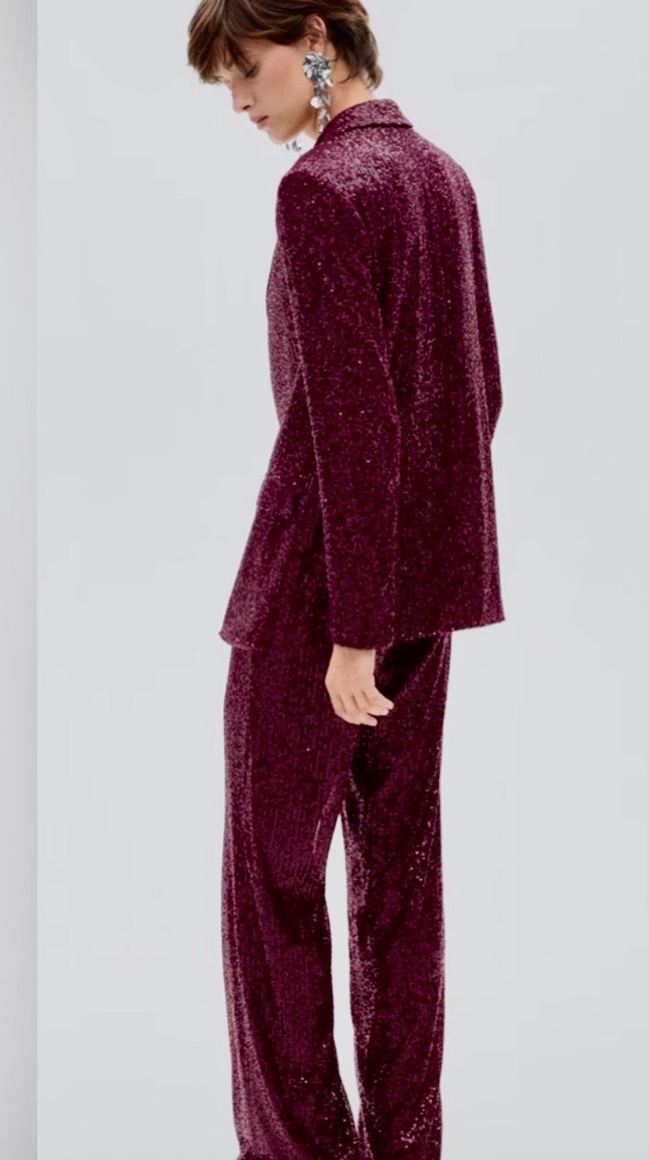 Mango sequin 2 Pcs Pantsuit