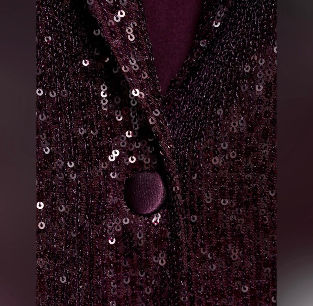 Mango sequin 2 Pcs Pantsuit