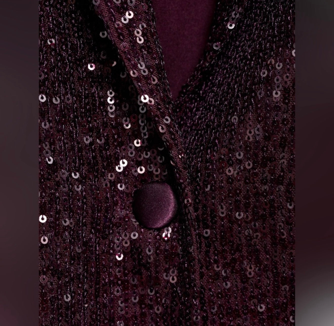 Mango sequin 2 Pcs Pantsuit