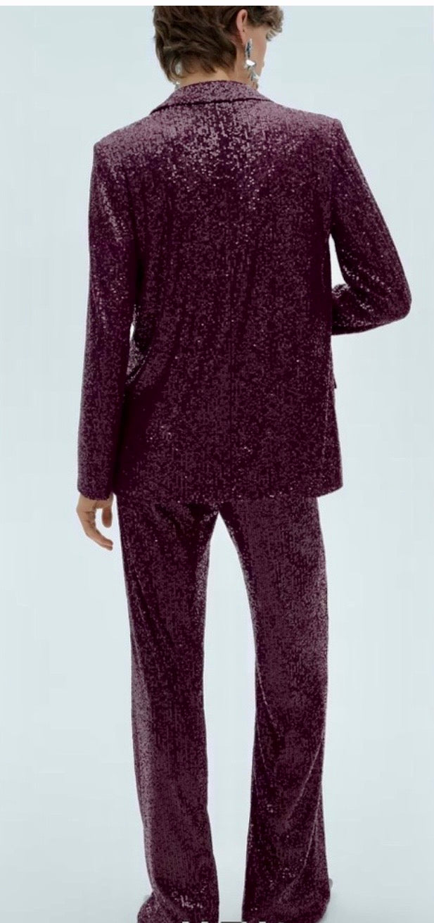 Mango sequin 2 Pcs Pantsuit